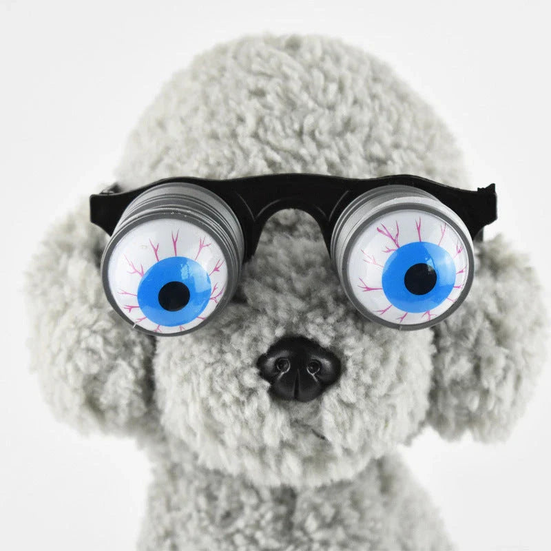 Stylish pet glasses with round lenses, thin frames, and bright colors to make your furry friend look their best