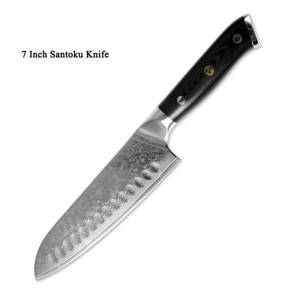 Japanese Damascus steel kitchen knife set with G10 handle, 67-layer blade