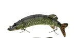 Versatile multistage bionic fishing lure with sleek hydrodynamic profile and mesmerizing flashing action for superior fish-attracting power