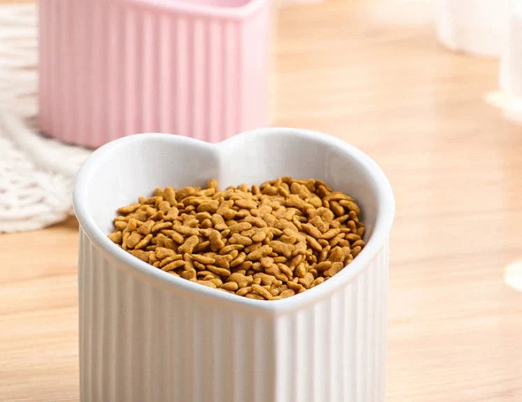 Elevated Ceramic Pet Bowl with Angled Design for Comfortable and Hygienic Feeding