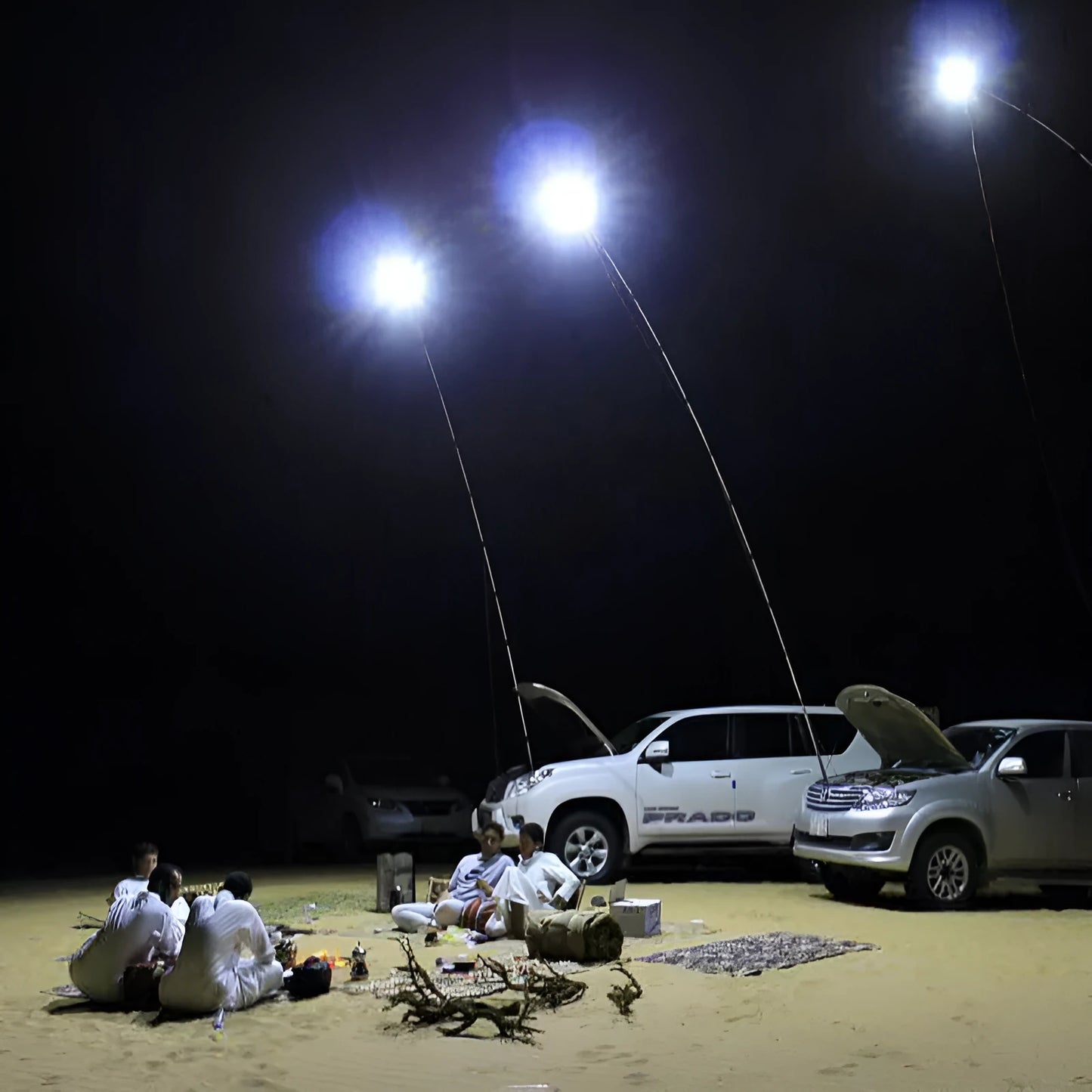 White LED fishing light on a tall telescopic pole, with a 12V battery clip cable and remote controller on grass.