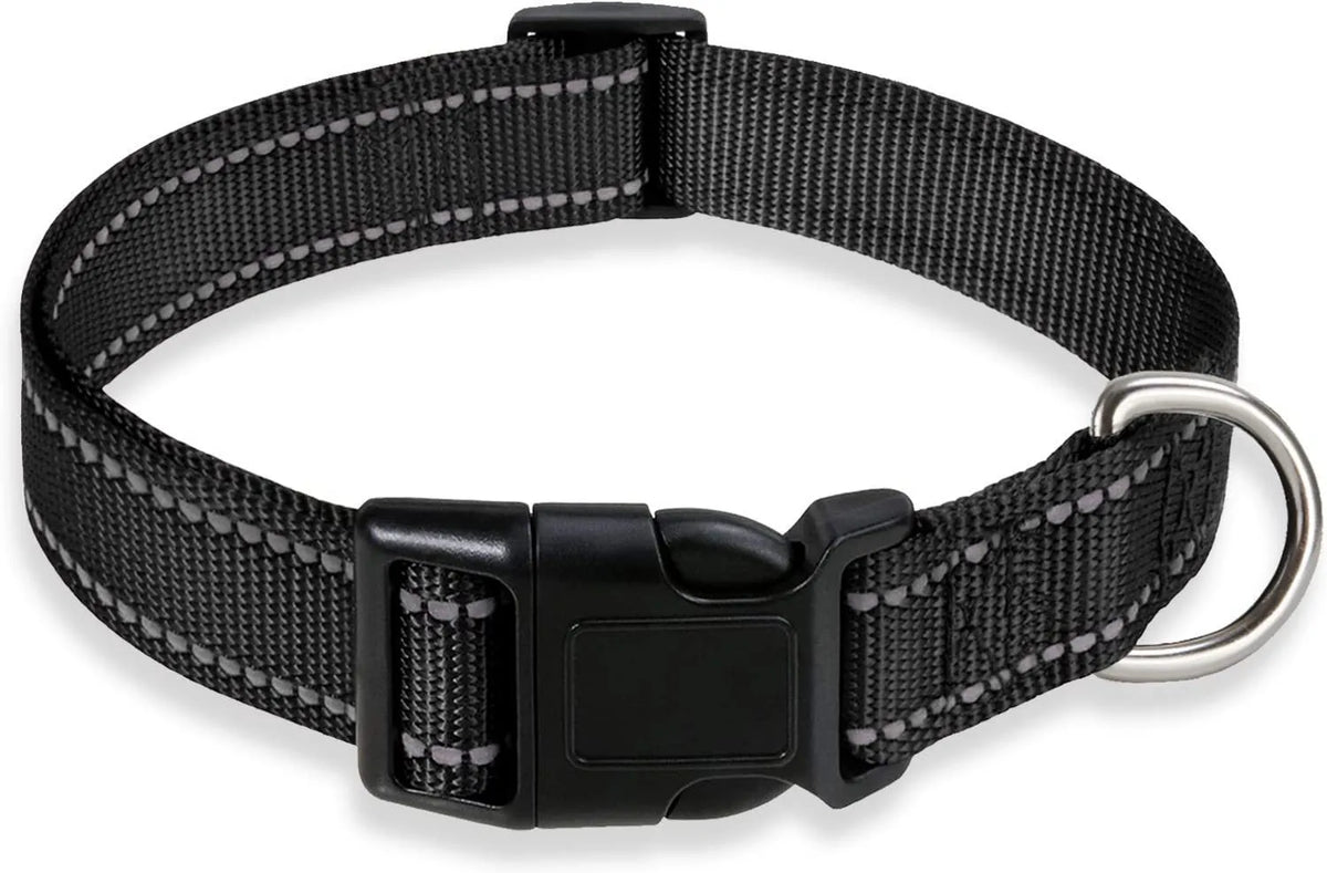 Adjustable nylon dog collar with chest strap in multiple colour options for secure walking