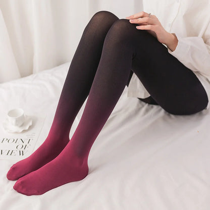 Stylish gradient transition pantyhose in black, navy blue, and wine red colors, showcasing the versatile and fashionable design.
