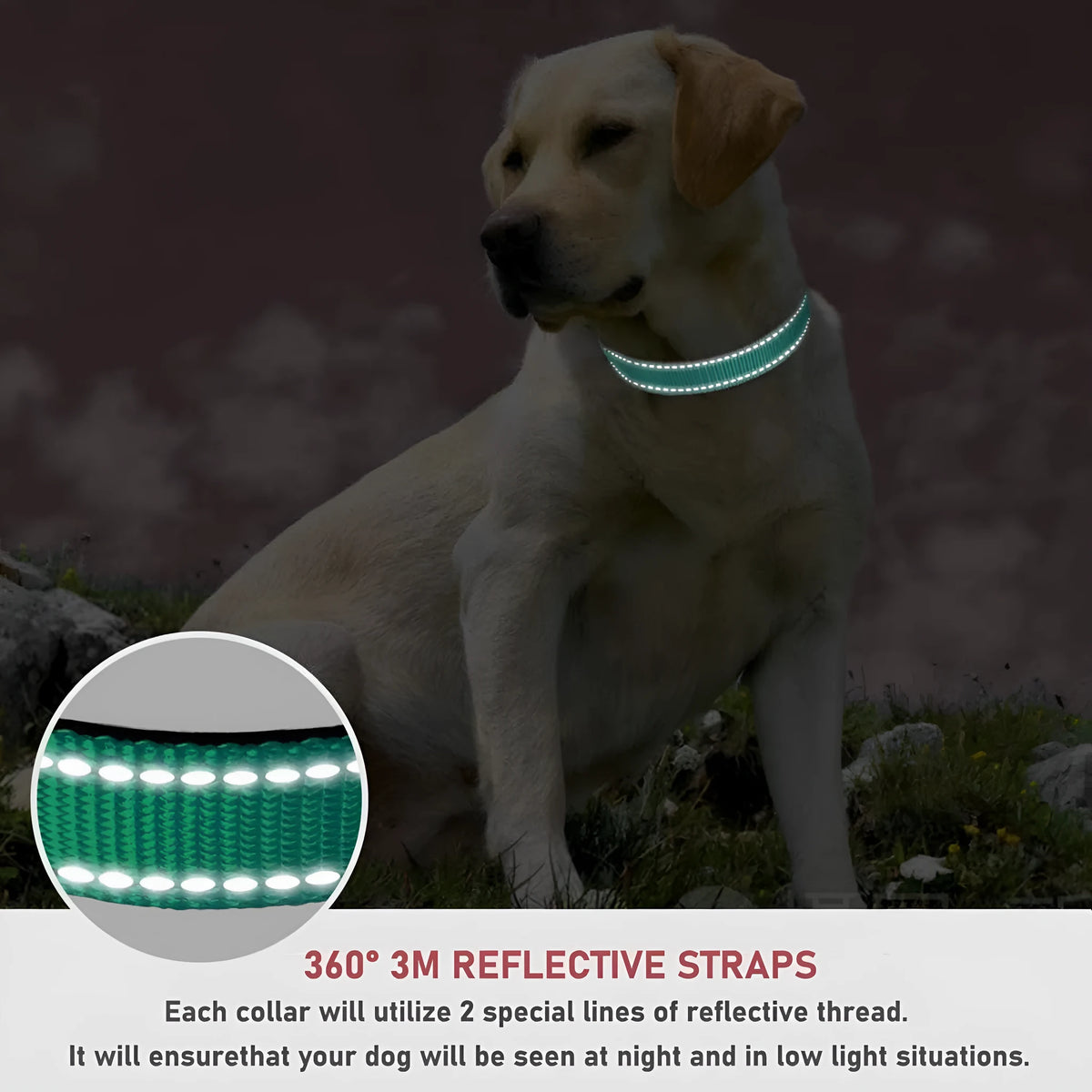 Adjustable nylon dog collar with chest strap in multiple colour options for secure walking