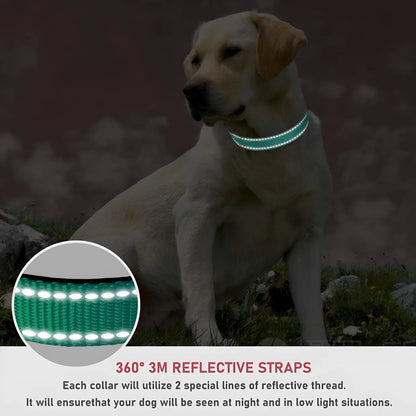 Adjustable nylon dog collar with chest strap in multiple colour options for secure walking