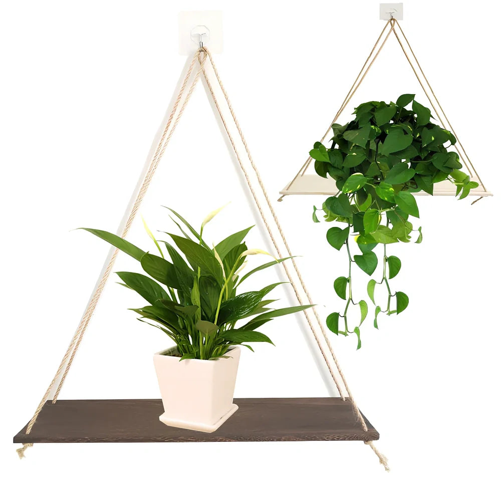 Natural wood wall-mounted shelf displaying small plants and framed photos with 1.3m hanging cord