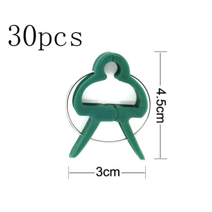 Green plastic plant fixing clips, large and small sizes, holding a tomato stem to a garden cane.