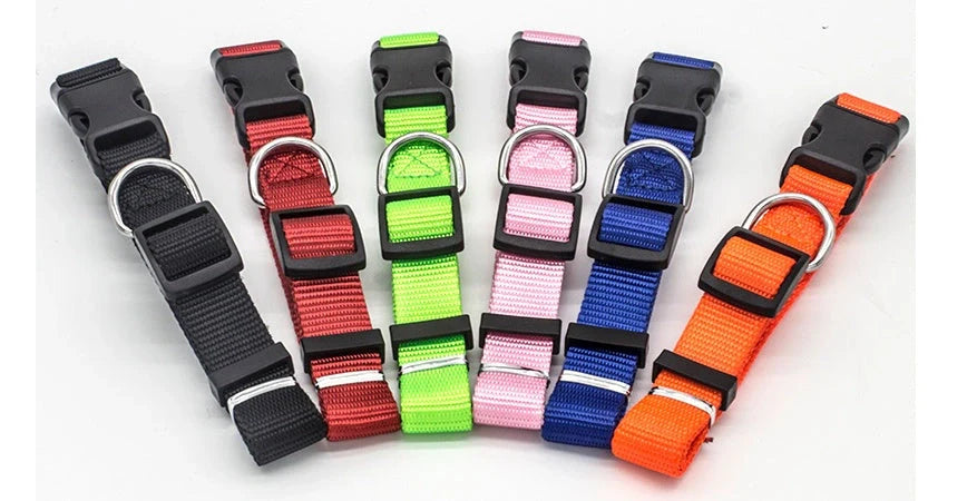 Adjustable nylon pet collar for cats and dogs with neoprene lining, available in multiple colors and sizes