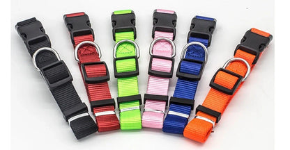 Adjustable nylon pet collar for cats and dogs with neoprene lining, available in multiple colors and sizes