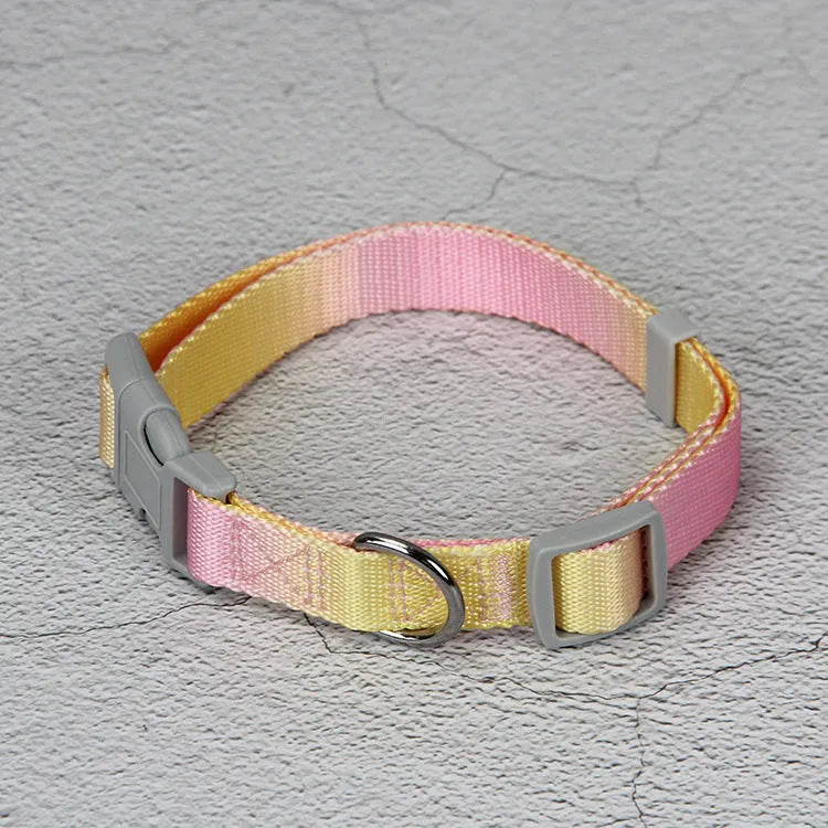 Gradient colour nylon dog leash showing pink-blue colour transition with metal attachment clip