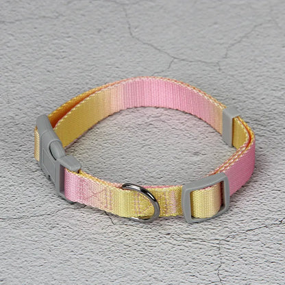 Gradient colour nylon dog leash showing pink-blue colour transition with metal attachment clip