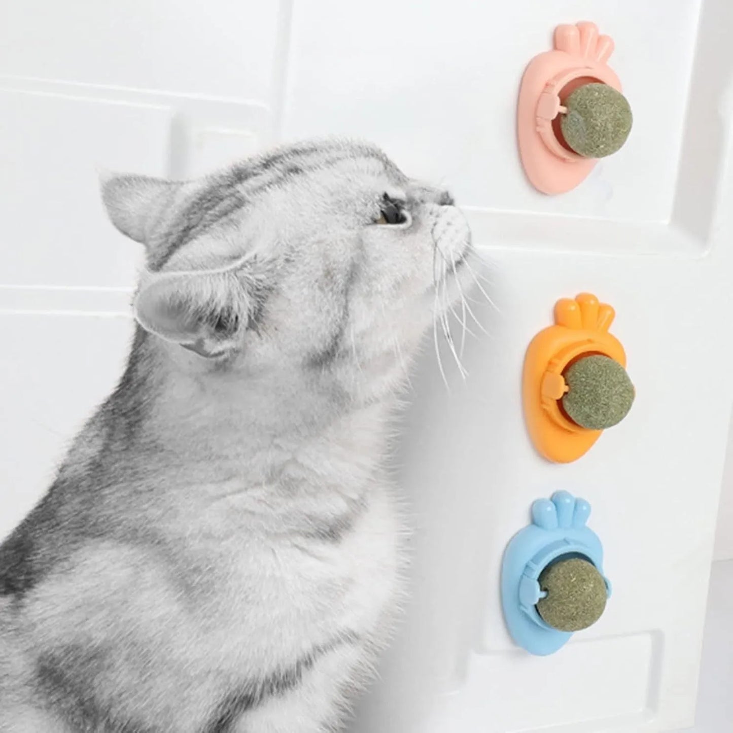 Blue carrot-shaped cat toy with adhesive back and separate white cover, for wall mounting.