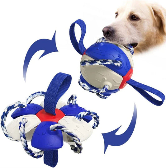 Transforming dog toy that can switch between a ball and frisbee shape, featuring durable construction and interactive play features