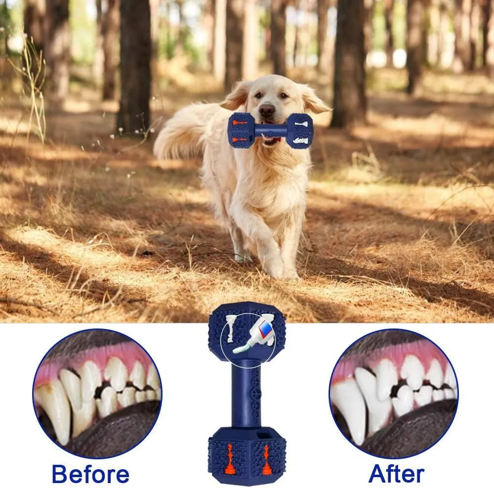 Dog chew toy with dumbbell design, 3D particle surface, hollow ends for treats, in black or blue colour