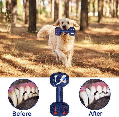 Dog chew toy with dumbbell design, 3D particle surface, hollow ends for treats, in black or blue colour
