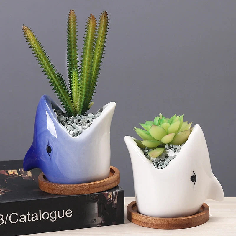 Creative cartoon ceramic succulent pot with drainage hole for healthy plants
