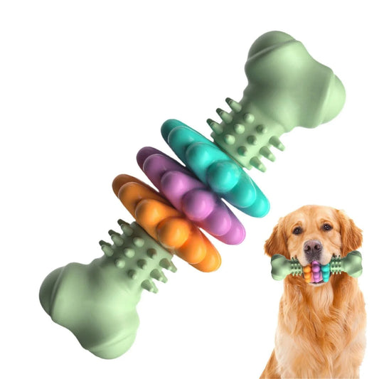 Durable TPR dog chew bone in blue, pink, or green for teeth cleaning and stress relief