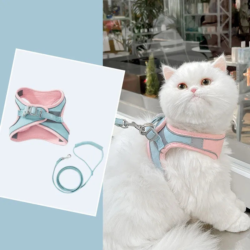 Blue and orange stitched cat harness with reflective chest strap and 1.5 metre rope