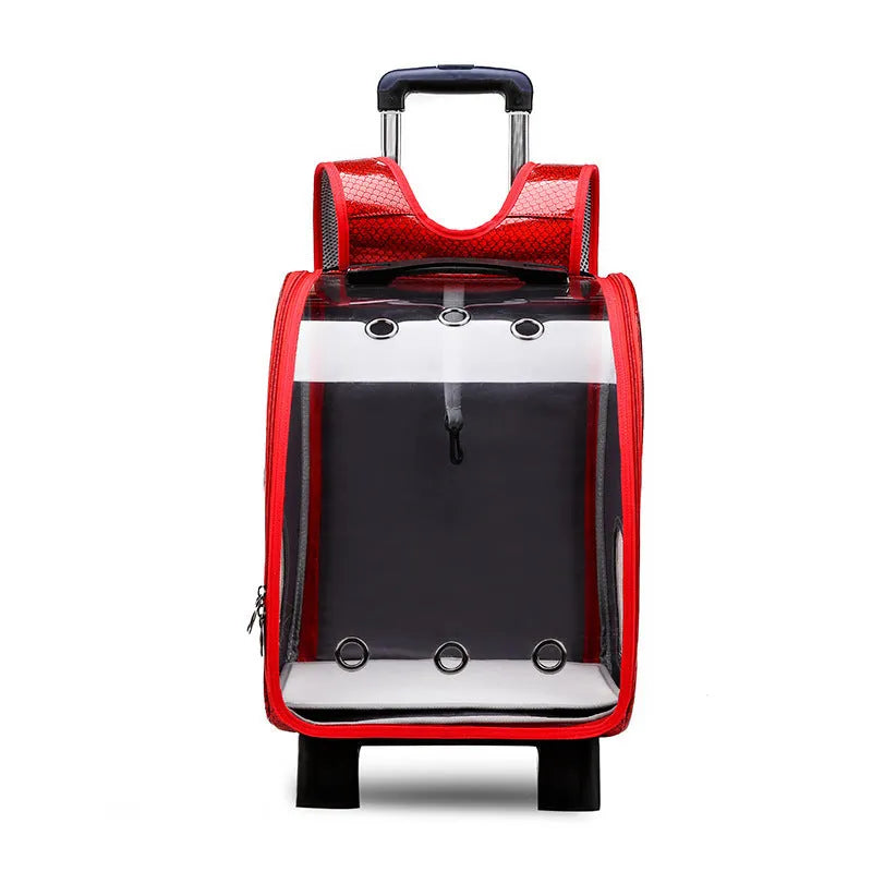 Blue transparent folding pet trolley carrier bag for small dogs and cats on wheels.