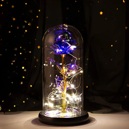 Little Prince rose arrangement under 20x9cm glass dome with gold foil flowers