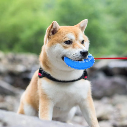 Blue bone-shaped dog teething toy with cooling function and treat compartment for puppies