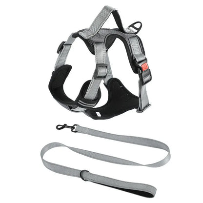 Polyester dog vest harness with hand-holding rope attachment in multiple colour options