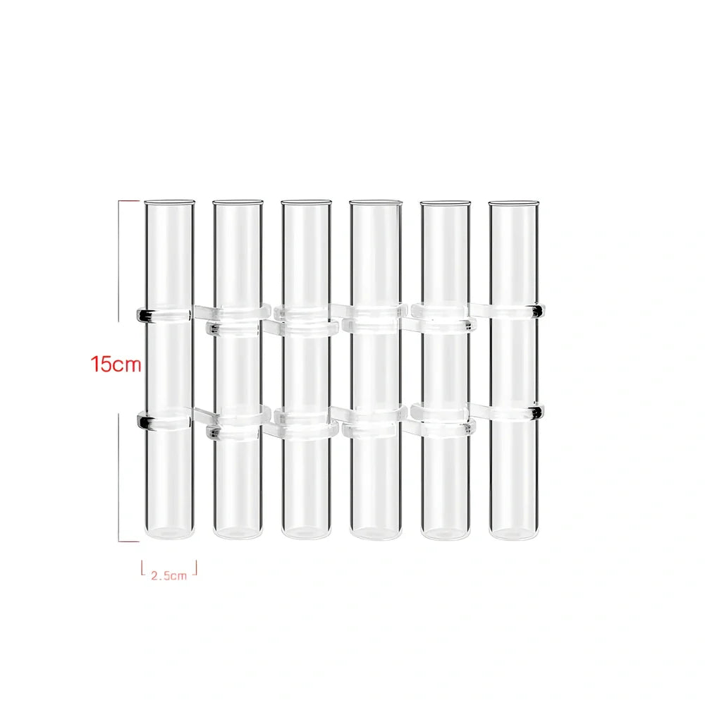 Clear glass hinged test tube vase with plants in curved arrangement