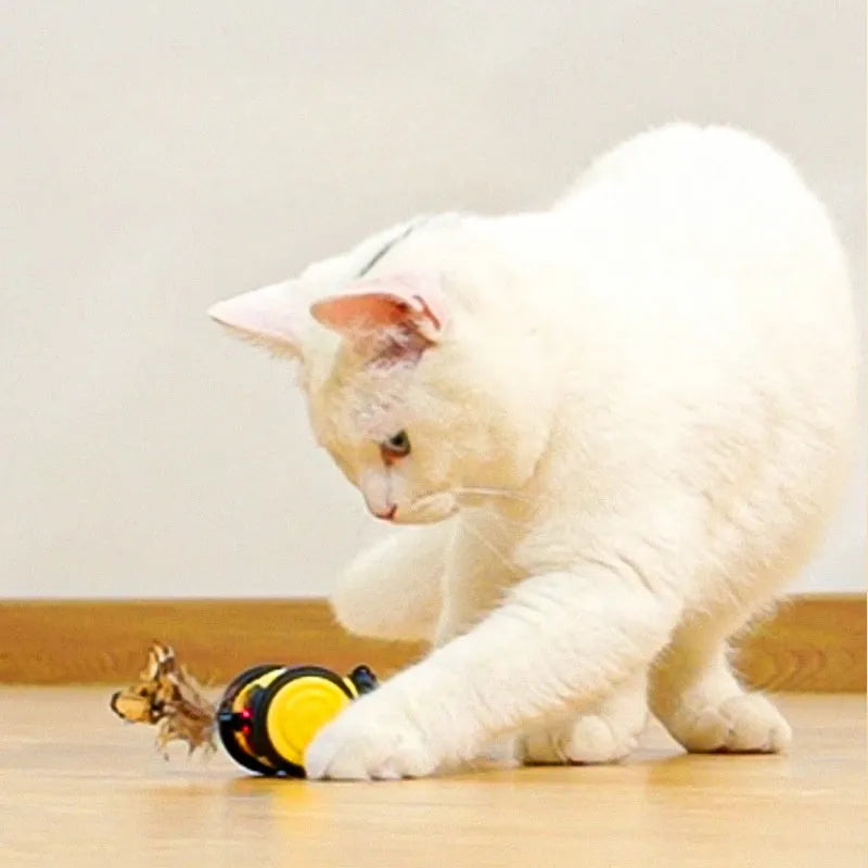 Electric bee-shaped cat car toy with feather teaser moving on floor