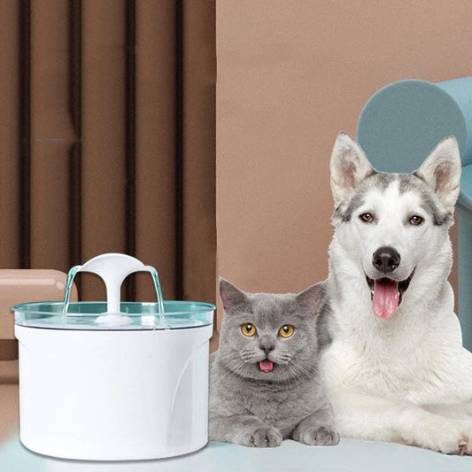Automatic pet drinking fountain with stainless steel construction, filtration system, and low-water level indicator