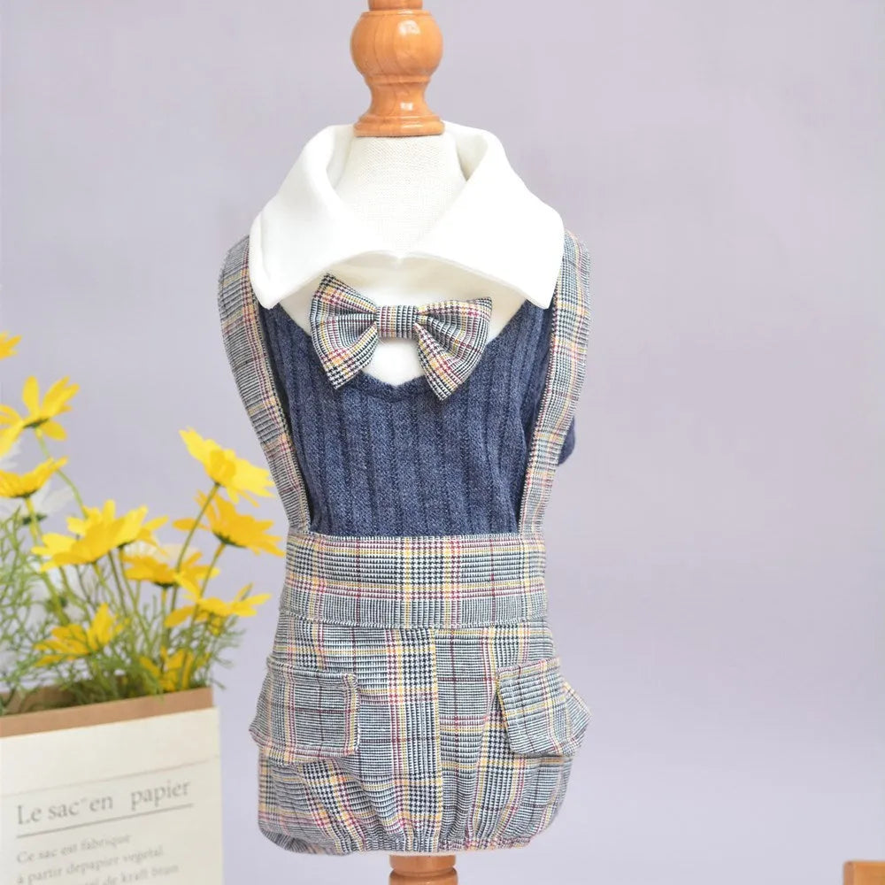 Orange and dark blue cotton dog suit shirt for small breeds in sizes S to 2XL