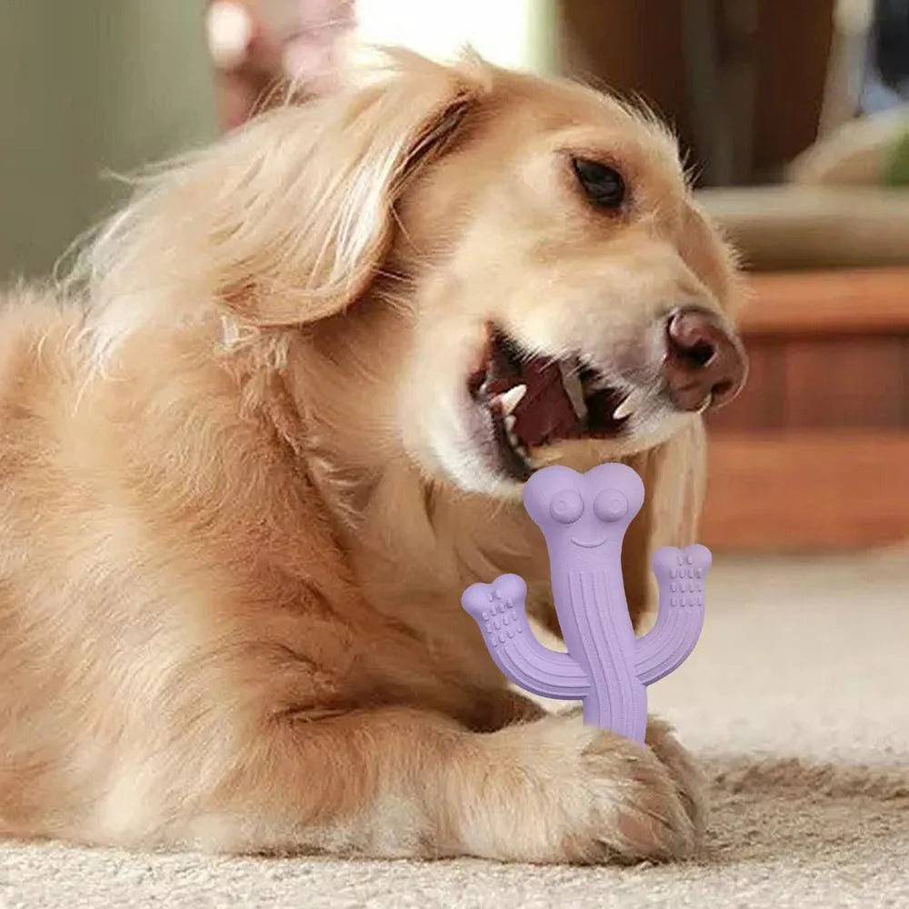Beige cactus-shaped dog chew toy made from bamboo fibre and rubber on a white background.