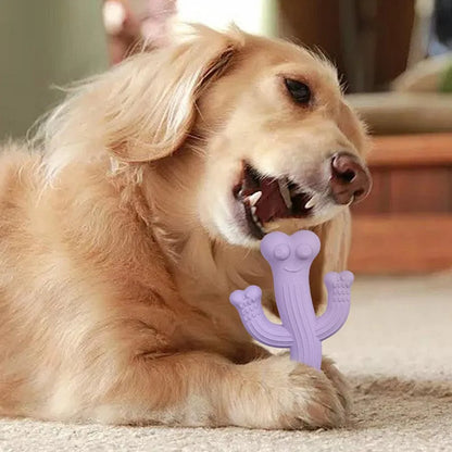 Beige cactus-shaped dog chew toy made from bamboo fibre and rubber on a white background.
