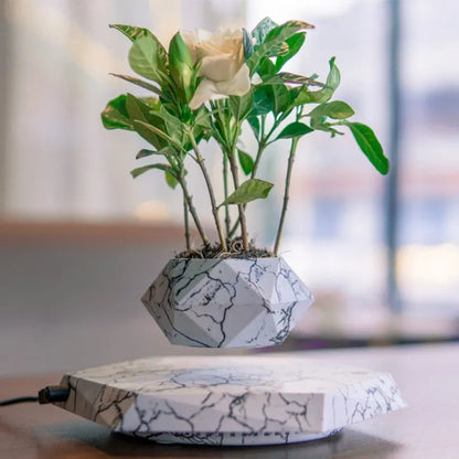 Marbling colour magnetic levitating plant pot floating above base with small plant inside