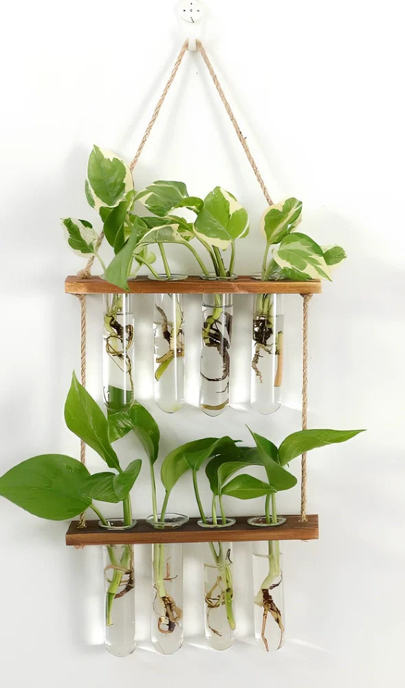 20×40cm double layer wall hanging glass terrarium with test tube plant propagator in retro or wood colour