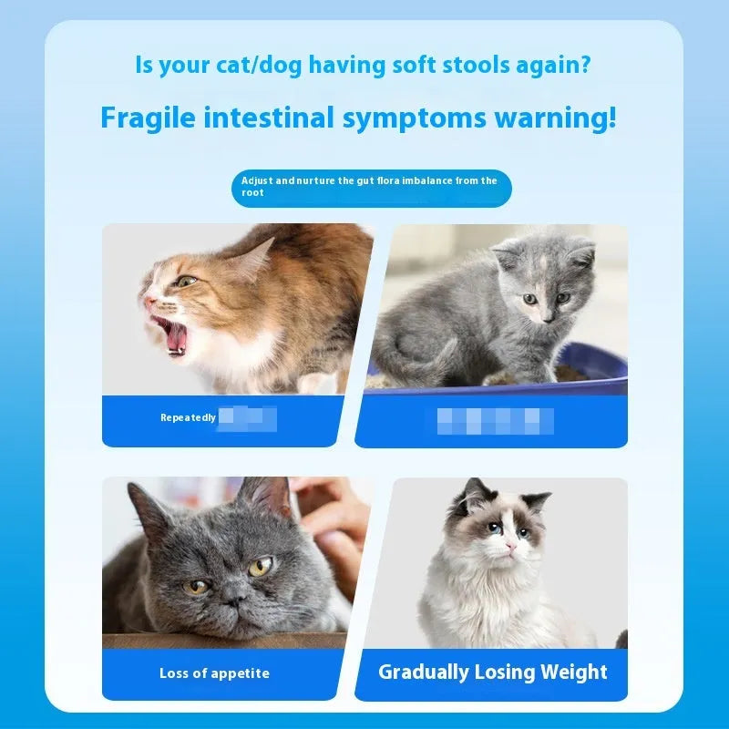 Bottle of Pet Active Probiotic Tablets containing 180 tablets for pet digestive health