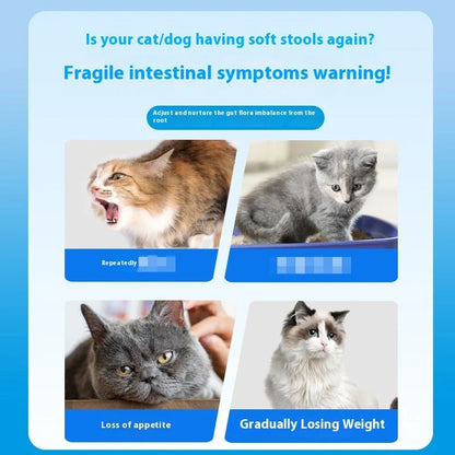 Bottle containing 180 chewable probiotic tablets for pet digestive health, each tablet measuring 1.5cm