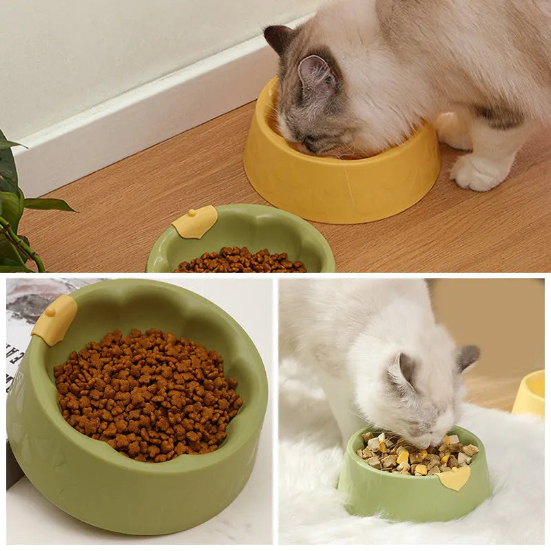 Green plastic double pet bowl with two compartments for food and water on a flat surface.