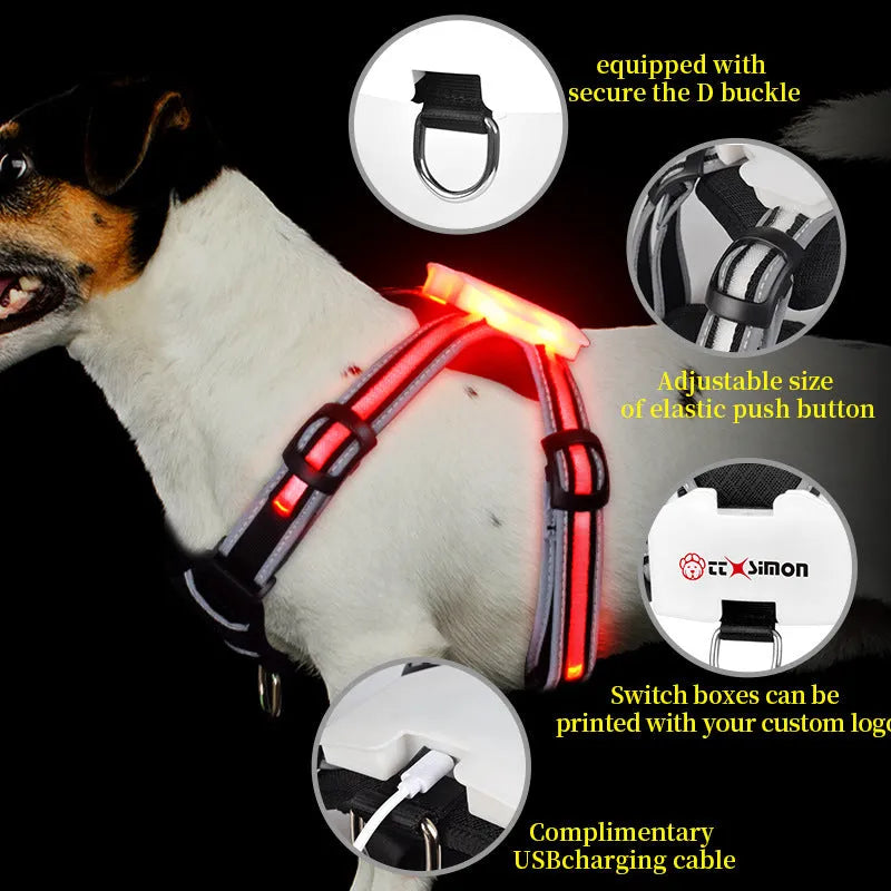 Nylon luminous dog leash with seven-colour LED strap and USB charging cable