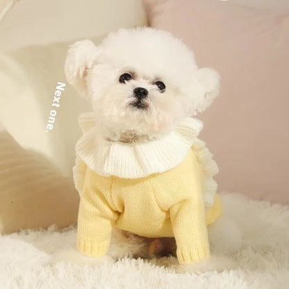 Yellow and patterned fairy dress style acrylic dog sweaters for small puppies in autumn.