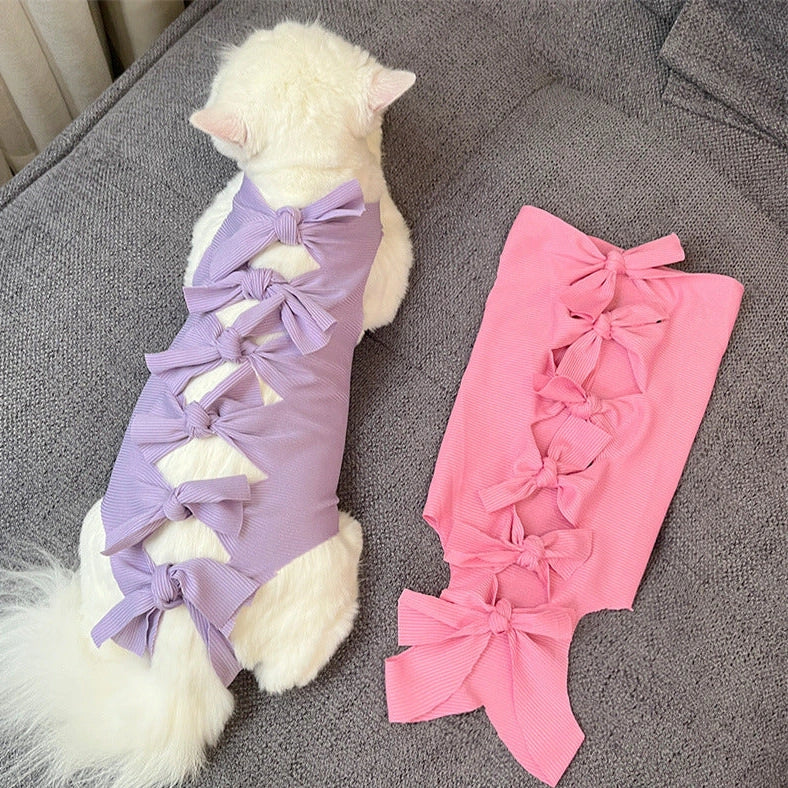 Lace-up cat sterilisation clothing in blue colour on cat showing adjustable back fastening and full-body coverage