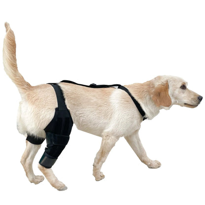 Neoprene dog hind leg knee brace assist strap in collar black colour with adjustable closure.