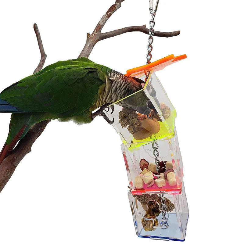Bird foraging device made from acrylic for parrots and pet birds, a 5cm x 5cm x 32cm educational toy designed to hold food such as fruit and nuts for biting and chewing enrichment activities