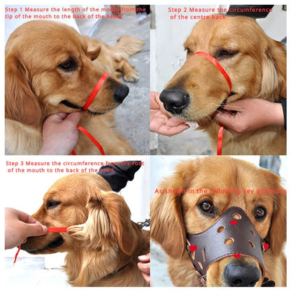 Black dog muzzle silencer for anti-barking and bite prevention on a medium-sized dog