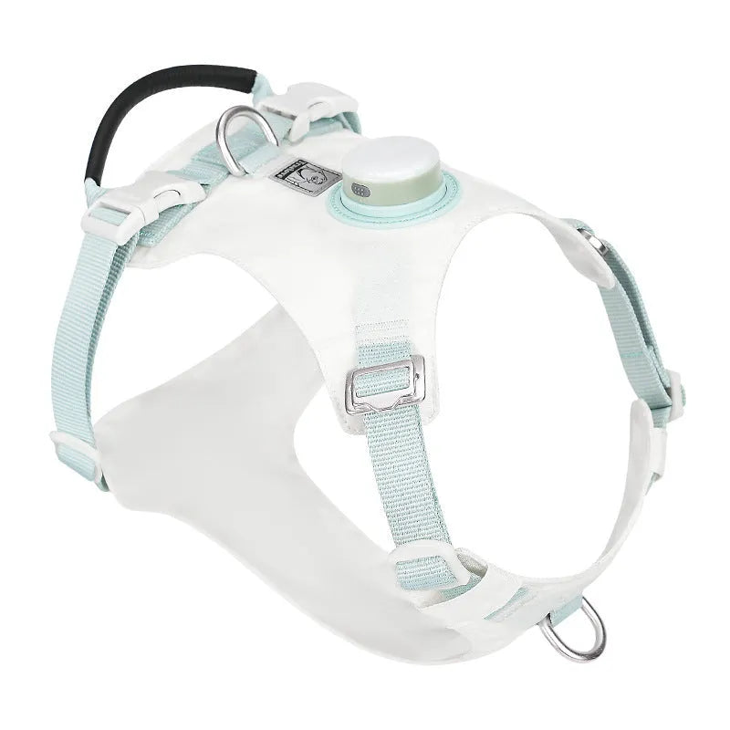 Nylon dog chest harness with LED light on a dog, shown in assorted colours including light purple, green, and black.