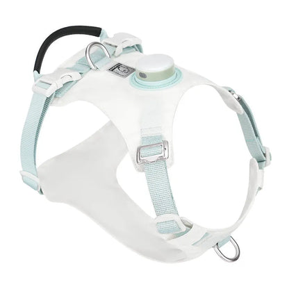 Nylon dog chest harness with LED light on a dog, shown in assorted colours including light purple, green, and black.