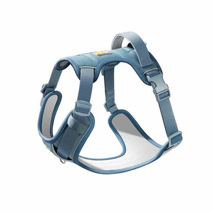 Dog wearing a chest strap harness with an attached hand holding rope in a choice of five colours.