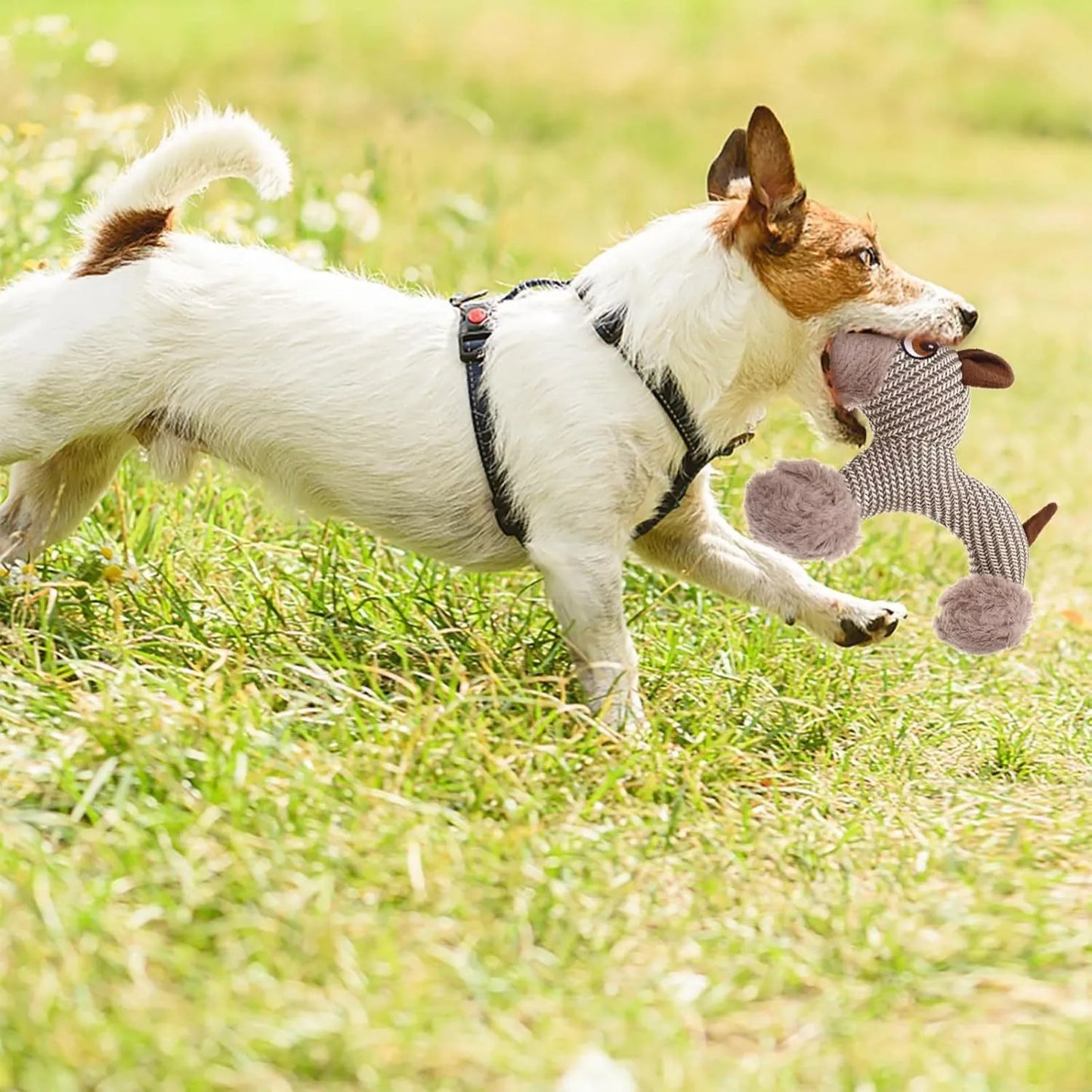 Plush dog squeaky toy with cotton-weave construction for medium and large dogs