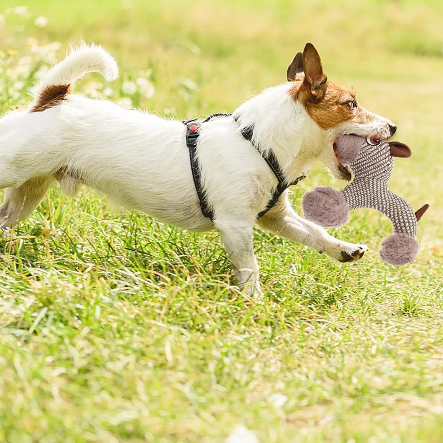 Plush dog squeaky toy with cotton-weave construction for medium and large dogs