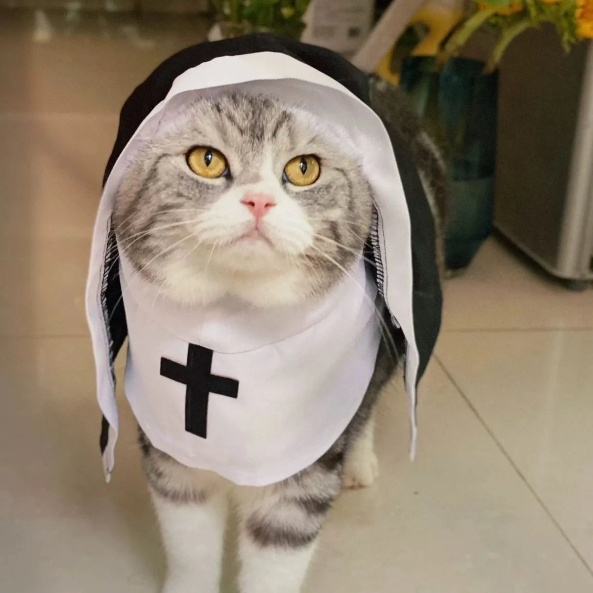 Black and white nun costume for small to medium dogs with pullover cloak design