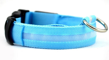 Nylon LED dog safety collar with illuminated fibre optic lights in blue colour, adjustable buckle, and waterproof construction